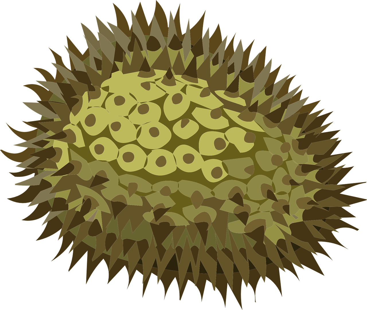 ¿Qué olor tiene el durian?