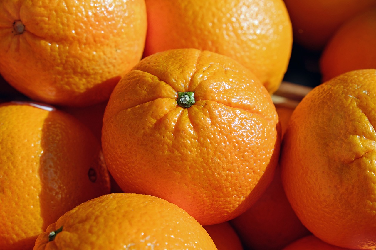 ¿Qué pasó con citrus?