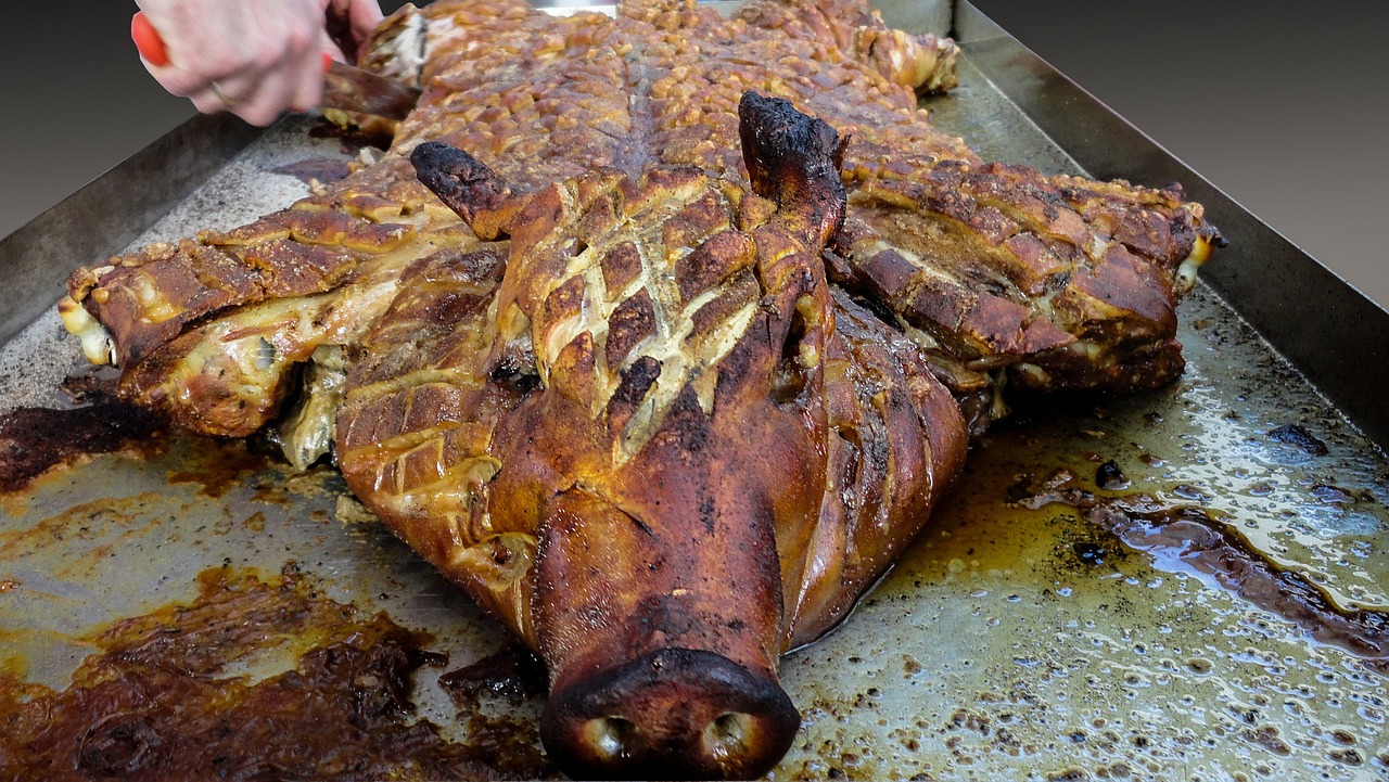 ¿Qué significa que haya cochinillas en mi casa?
