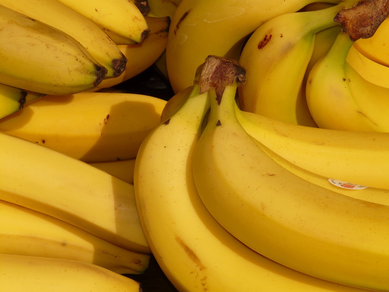 ¿Cuál es la banana más grande del mundo?