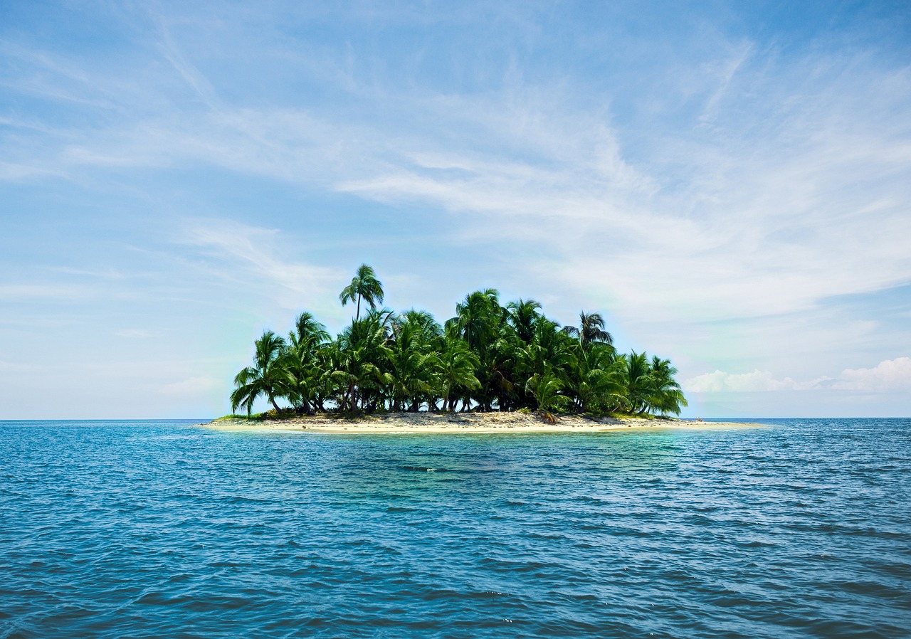 ¿Cuándo se corta una palmera?
