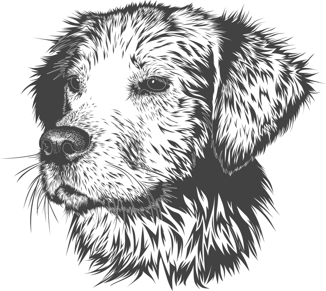 ¿Qué hacer para que se alejen los perros?