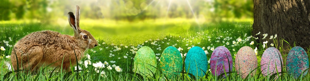 ¿Cómo cuidar el árbol de pascua?