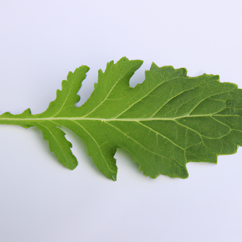 ¿Cómo se debe de aplicar el abono foliar?