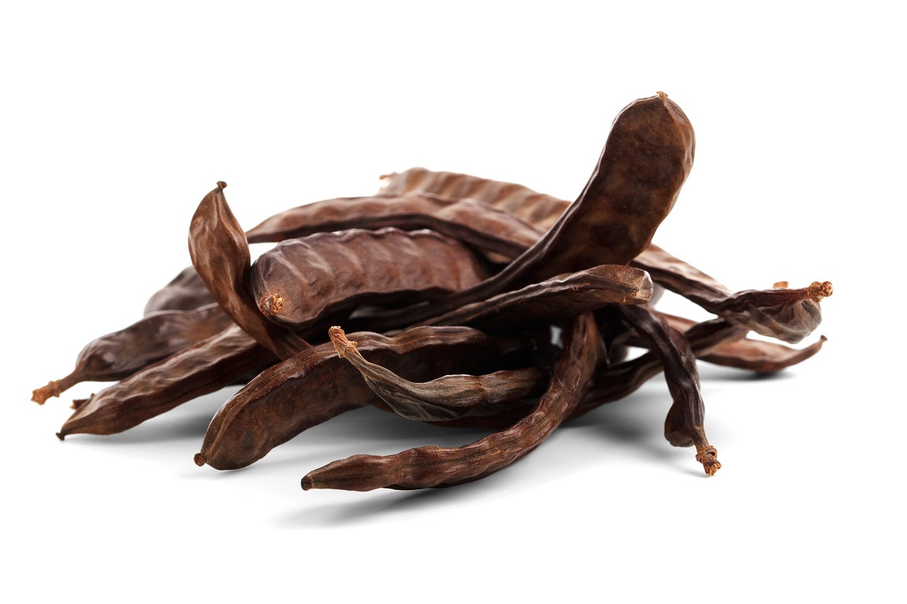 ¿Cuándo se siembra la semilla de algarrobo?
