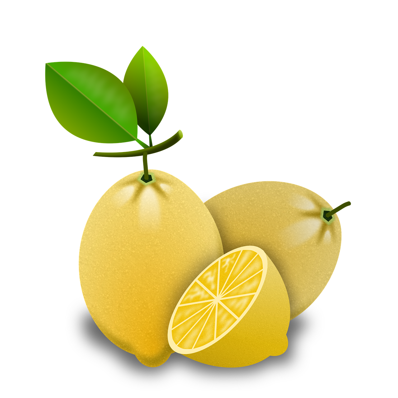 ¿Qué hay que hacer para que un limonero de limones?
