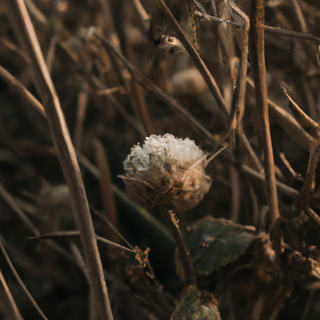 ¿Cómo se llama la planta que ahuyenta los topos?