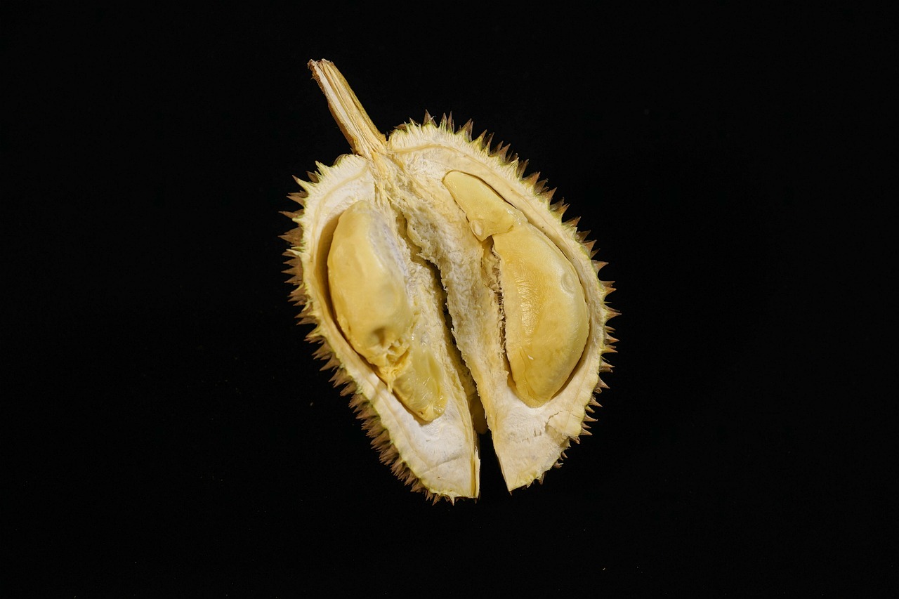 ¿Cómo se llama la fruta durian en español?