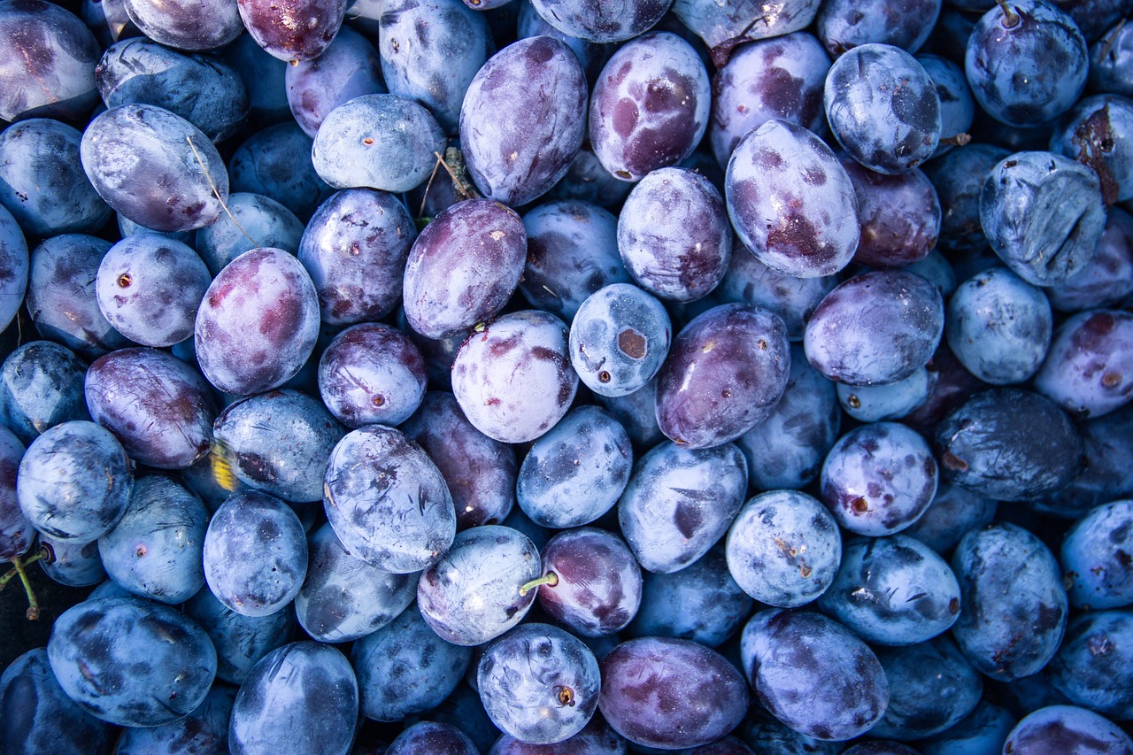 ¿Qué ciruelas son las más dulces?