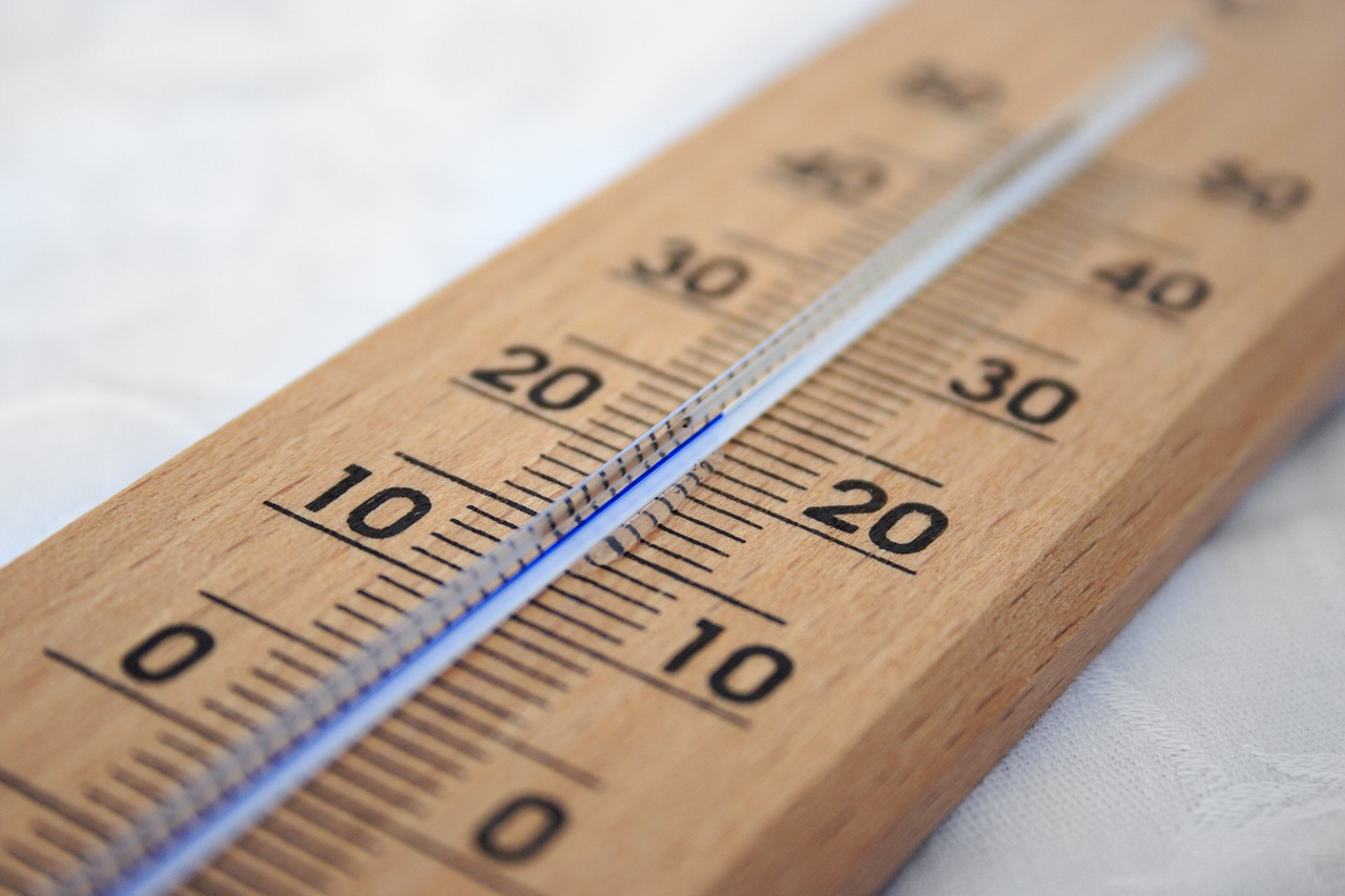 ¿Qué temperatura soporta la buganvilla?