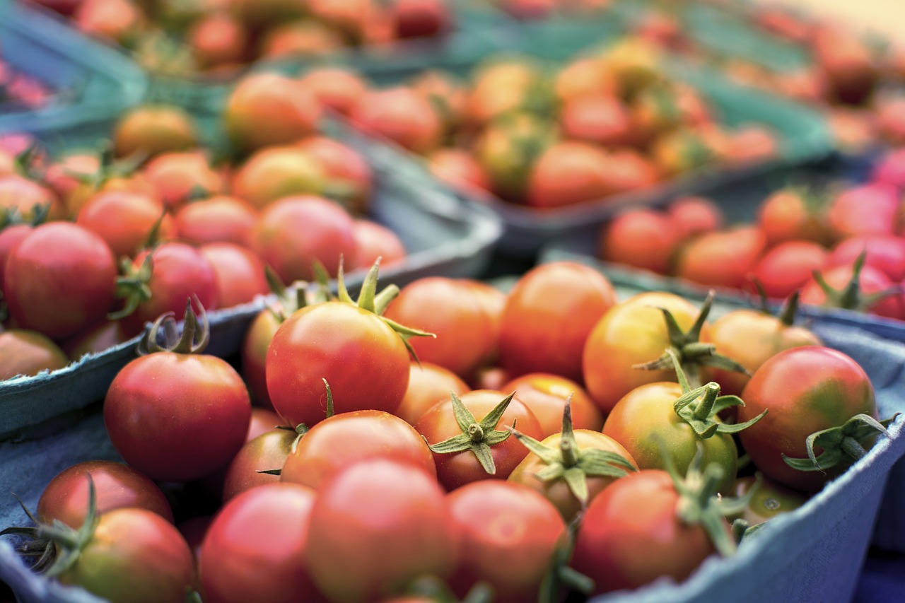 ¿Cuáles son los vegetales comestibles?