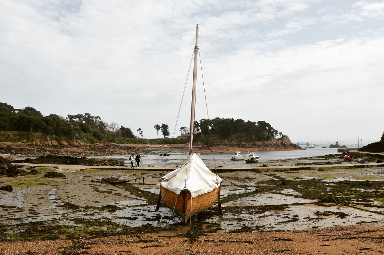 ¿Que plantar junto al mar?