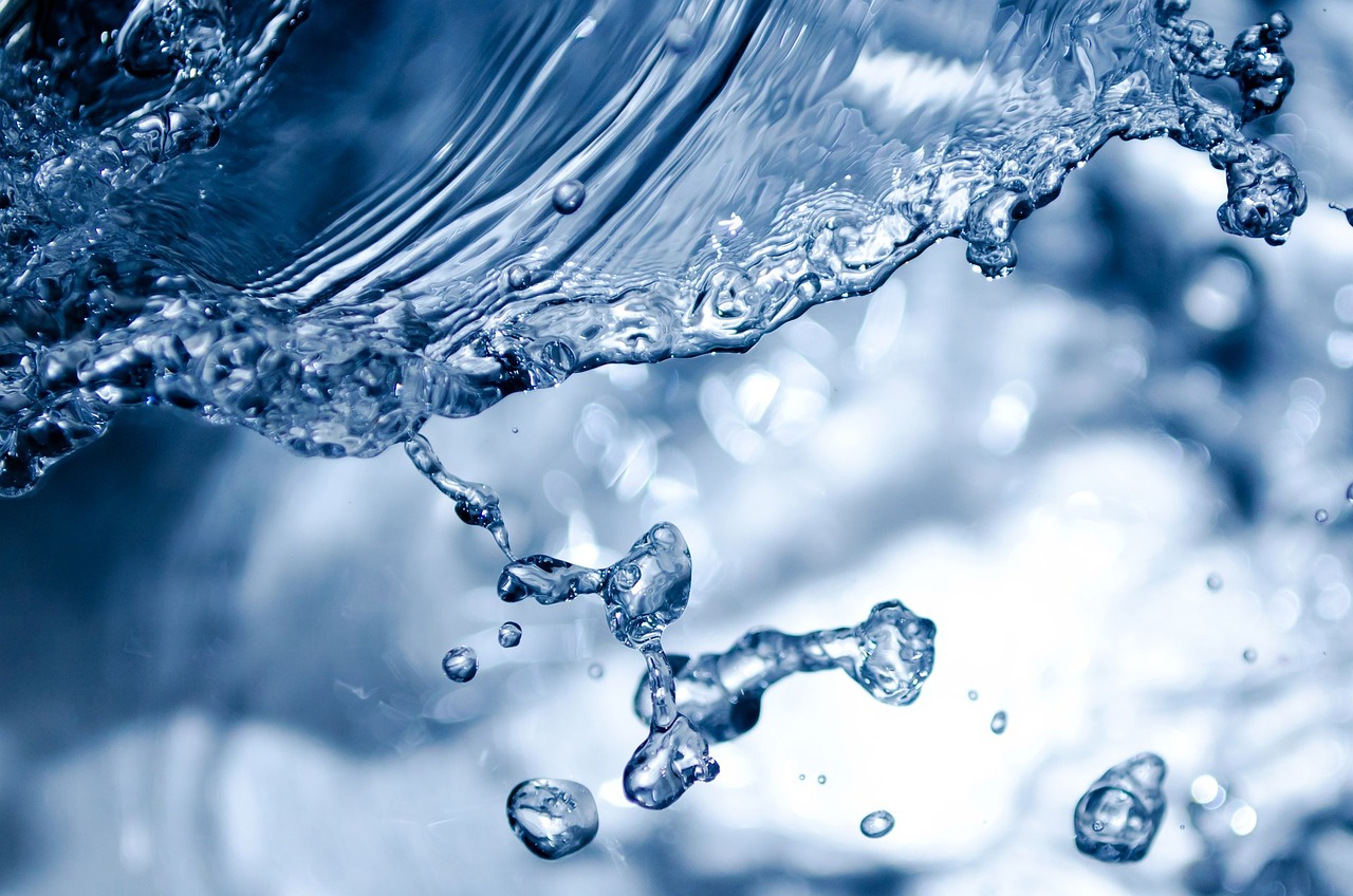 ¿Cómo se le pone agua a una orquídea?