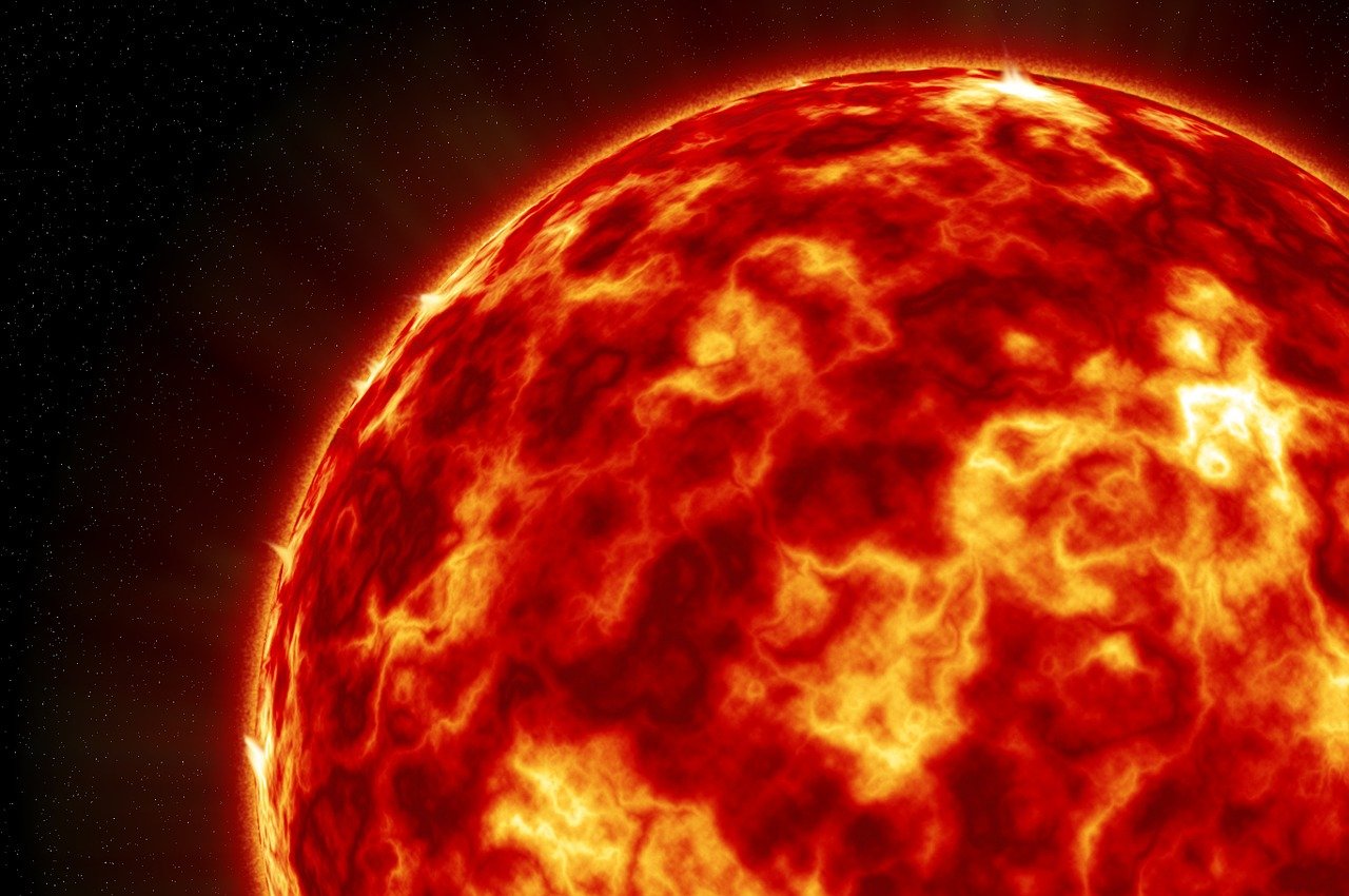 ¿Qué temperatura aguanta la carcoma?