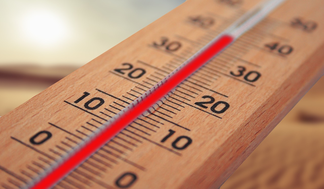 ¿Qué temperatura debe tener una lombricomposta?