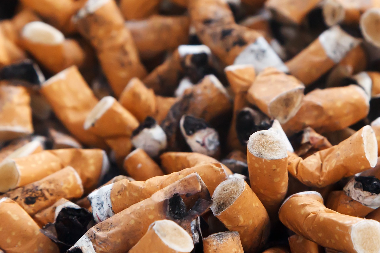 ¿Cómo afecta el tabaco a las plantas?