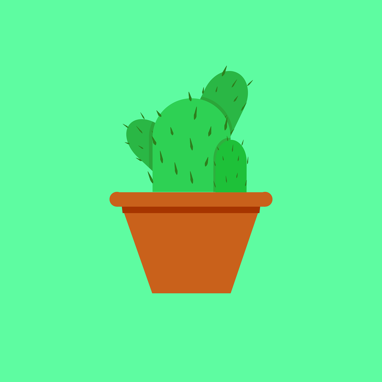 ¿Cómo cuidar a un cactus de interior?
