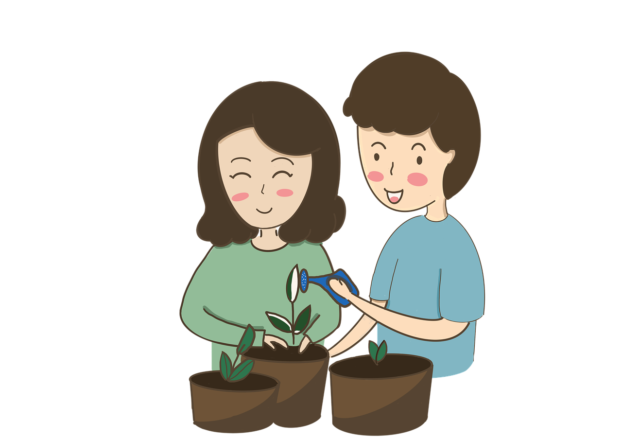 ¿Cómo se debe regar un jardín?
