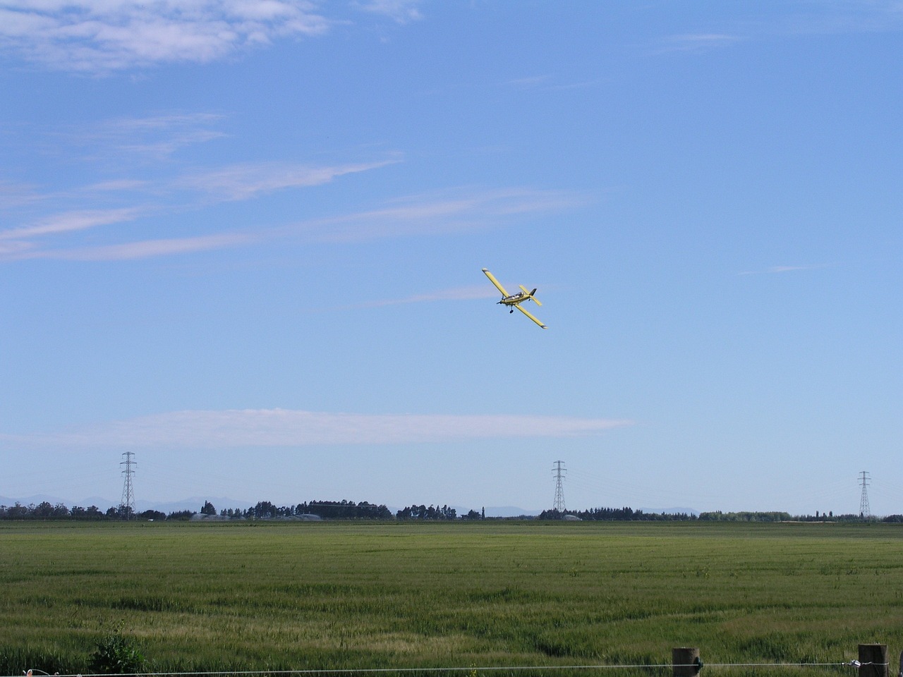 ¿Cuáles son los insecticidas naturales?
