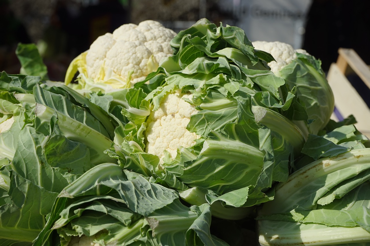¿Cuántos tipos de vegetales hay?