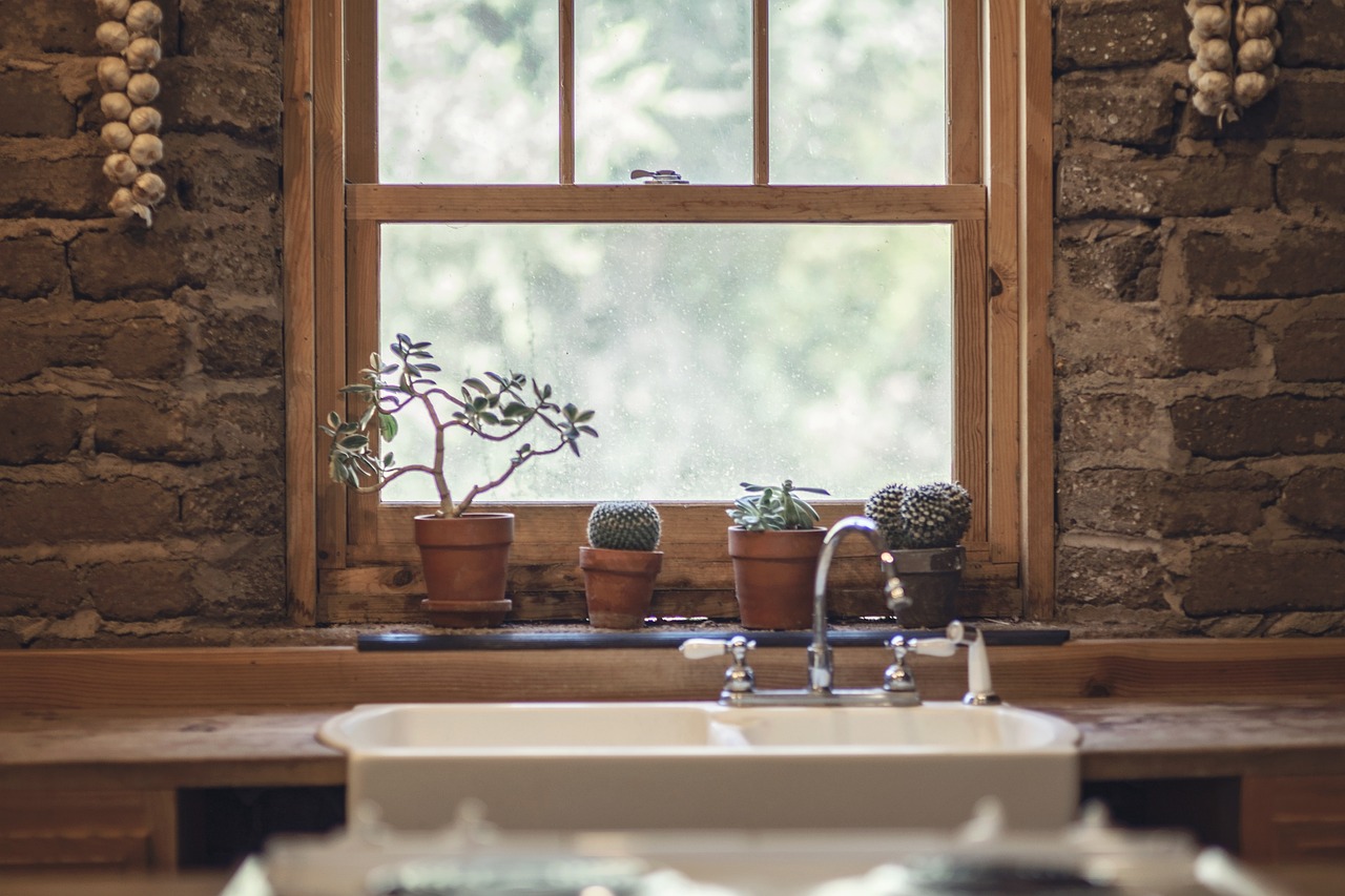 ¿Dónde se deben colocar los cactus en la casa?