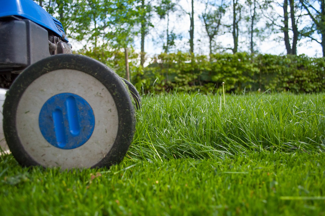 ¿Que tiene que saber un jardinero?