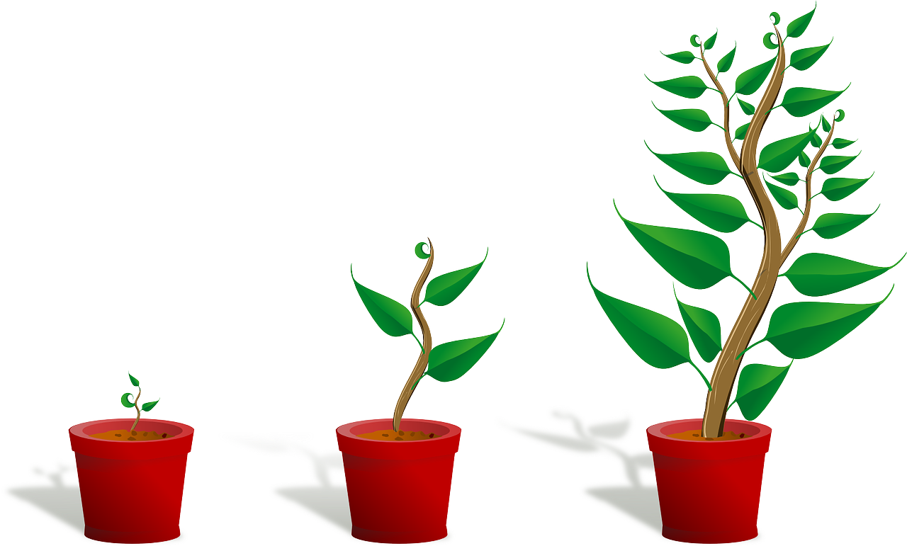 ¿Qué es la jardinería y para qué sirve?
