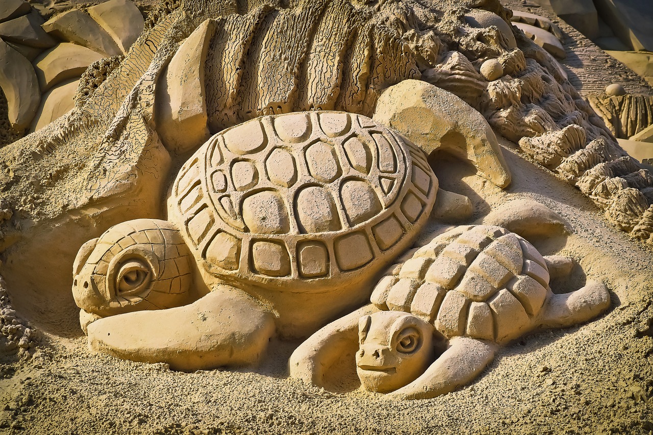 ¿Qué tortugas se pueden tener de mascota?