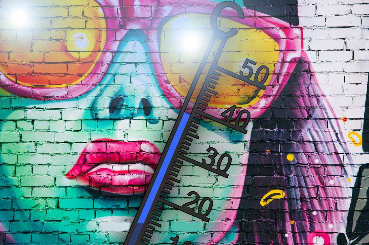 ¿Qué temperatura aguanta una palmera?