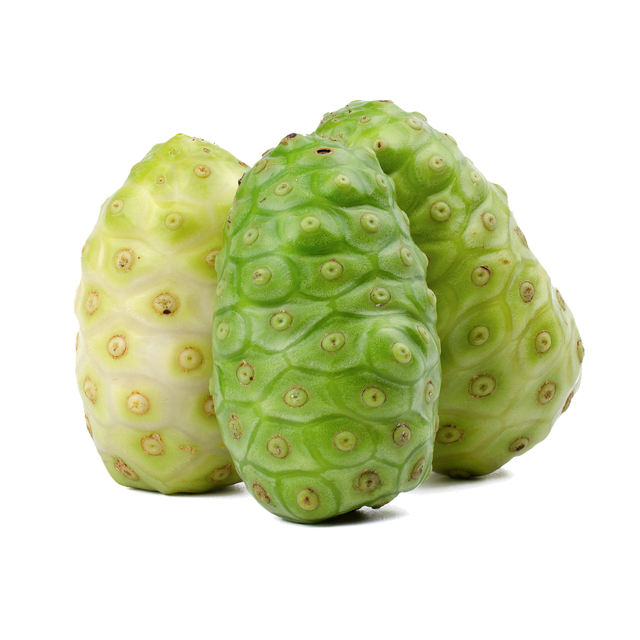 ¿Qué significa el nombre de noni?