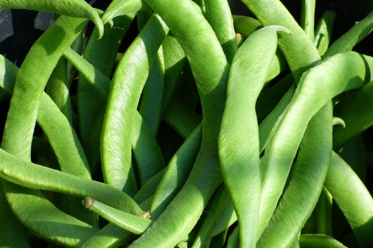 ¿Cuánto tiempo hay que dejar hervir las judías verdes?