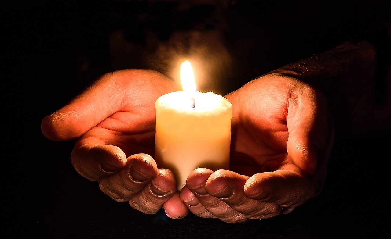 ¿Qué luz necesita el helecho?