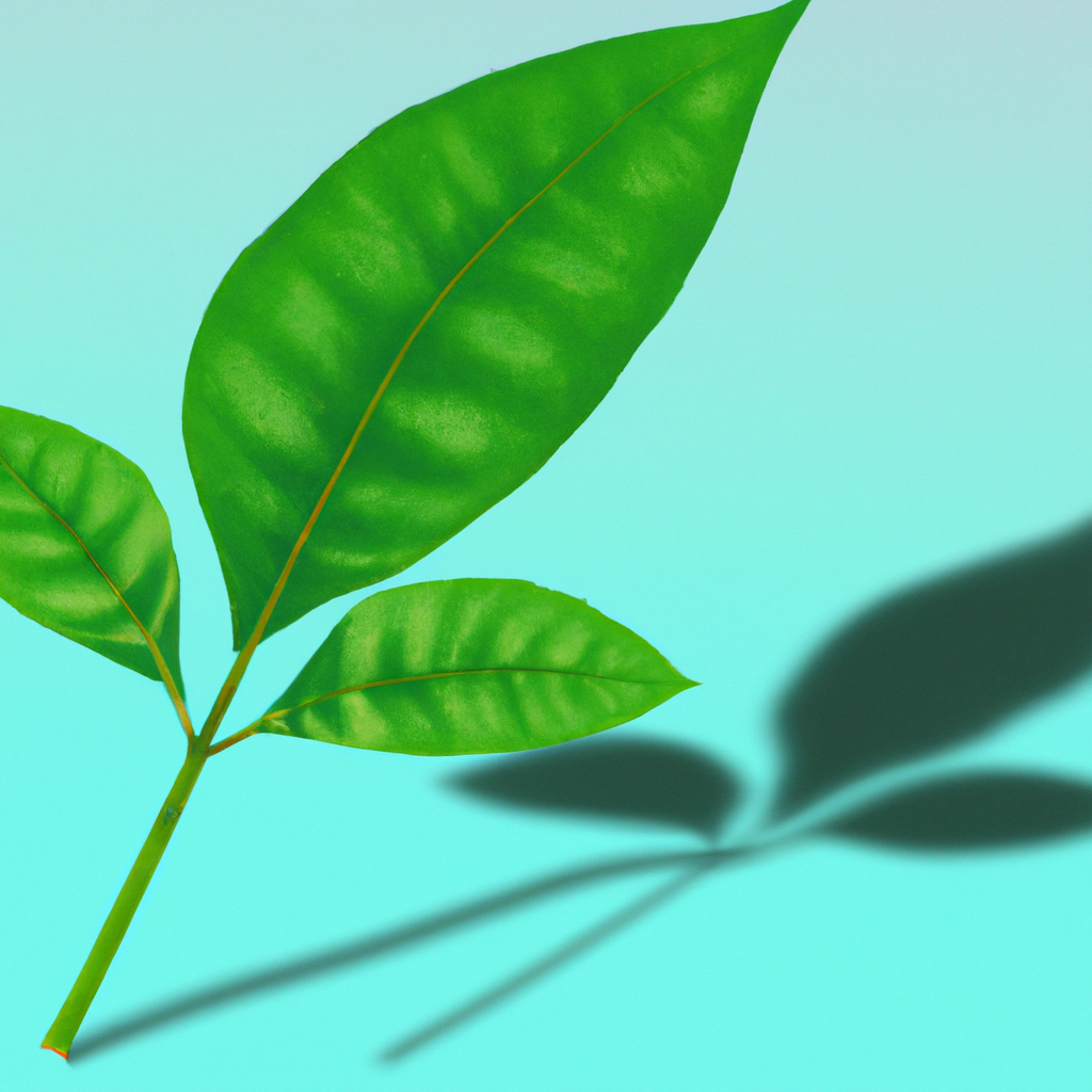 ¿Qué es el sulfato para plantas?