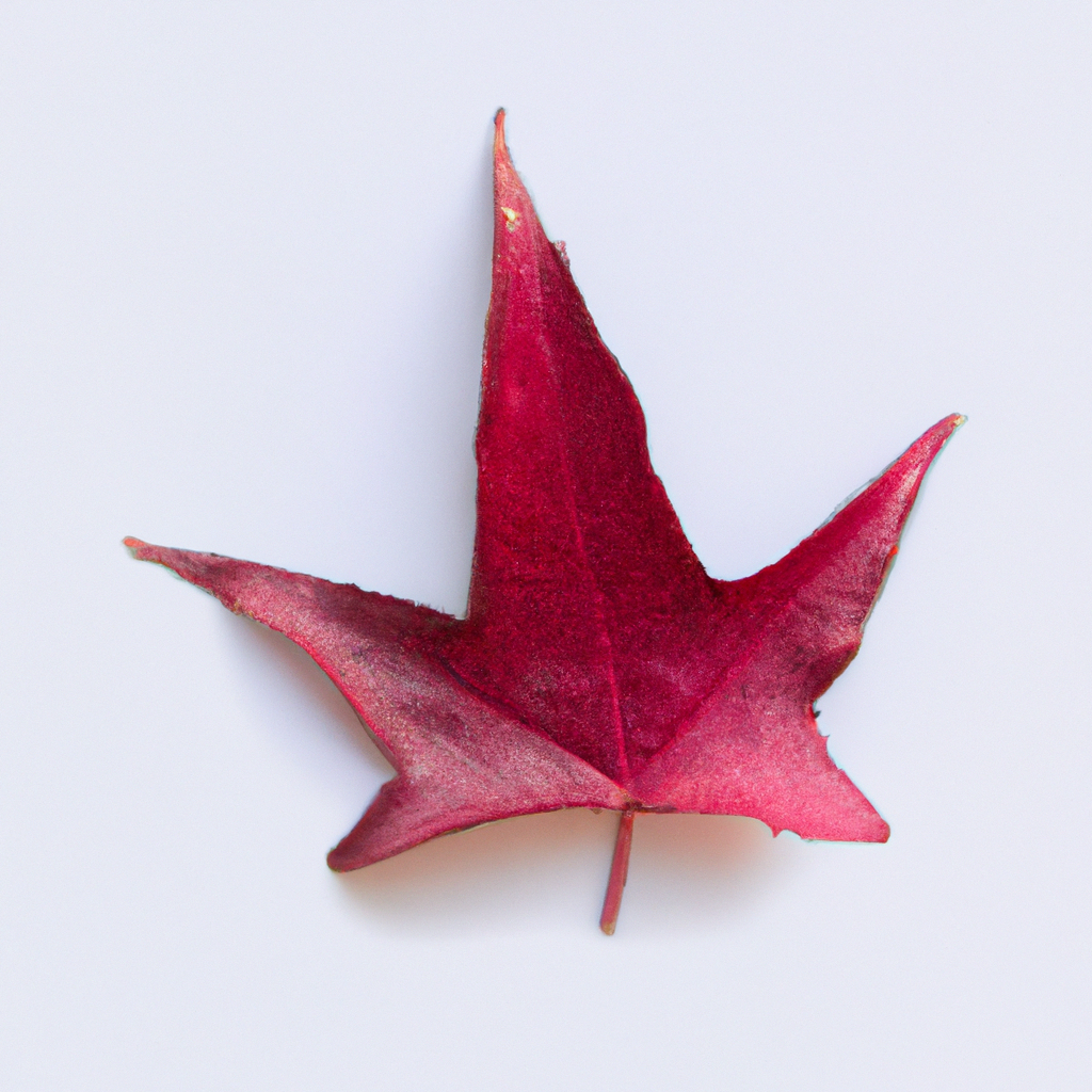 ¿Qué esquejes se pueden hacer en otoño?