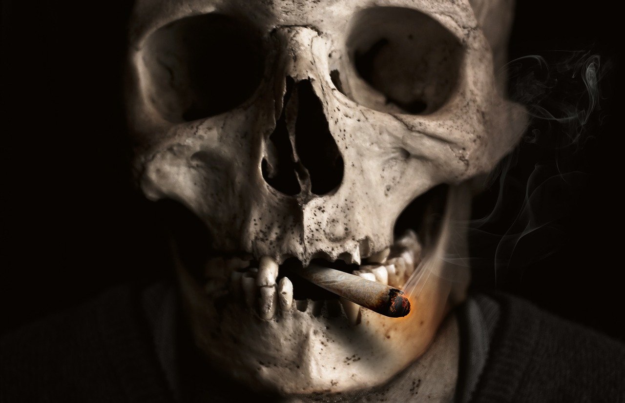 ¿Cómo se utiliza el tabaco en las plantas?