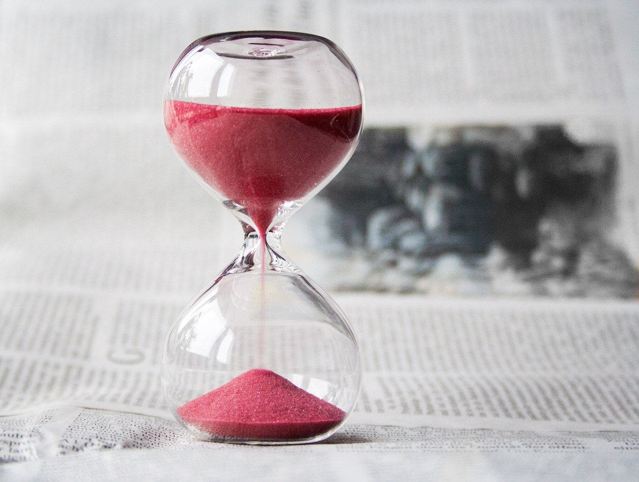¿Cuánto tiempo tarda en crecer un huizache?