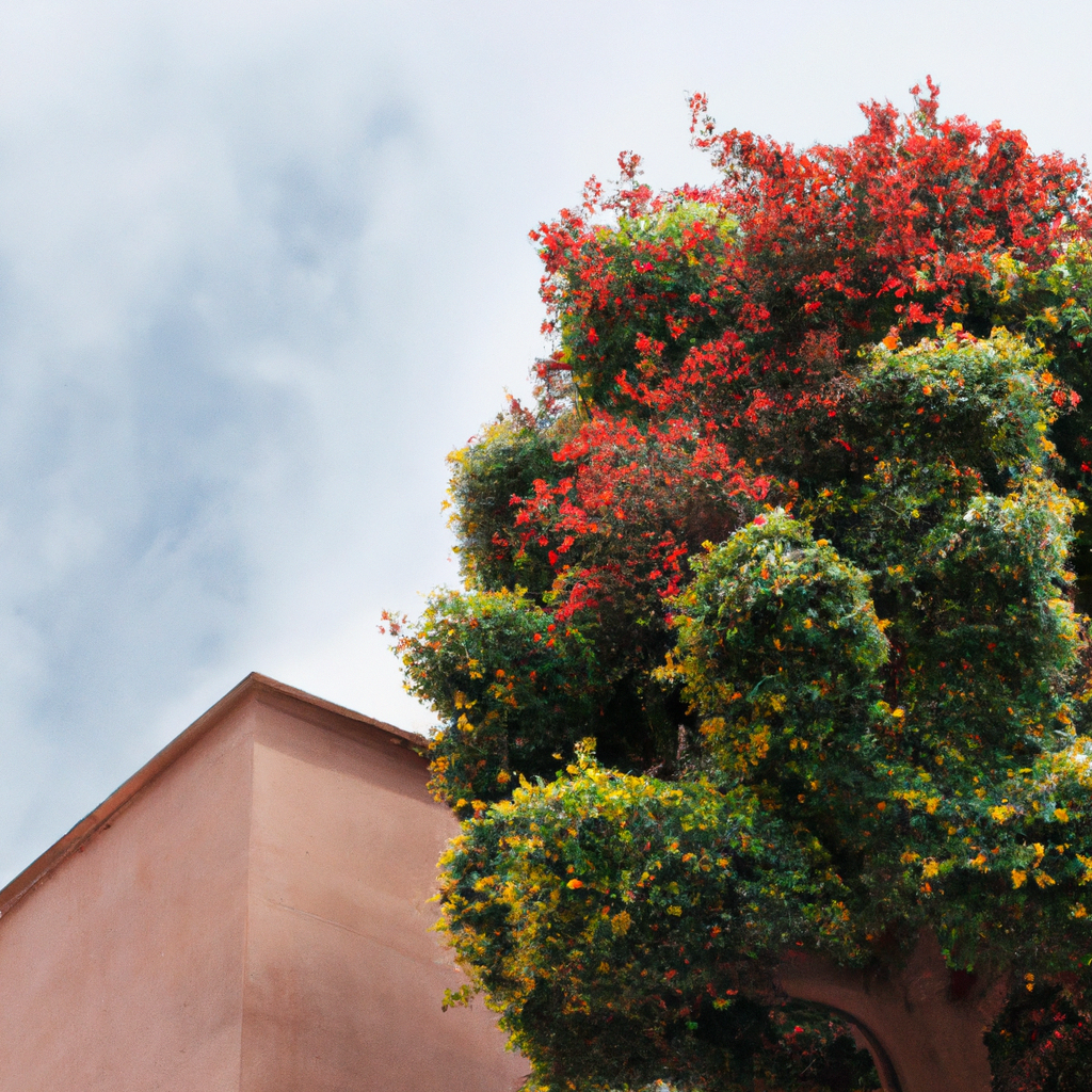 ¿Cuándo se planta el árbol de granada?