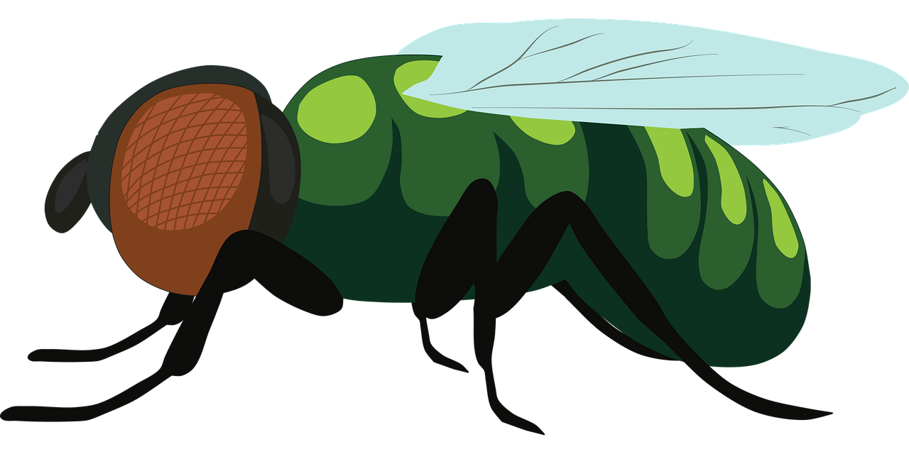 ¿Qué pasa si me pica una mosca de la fruta?