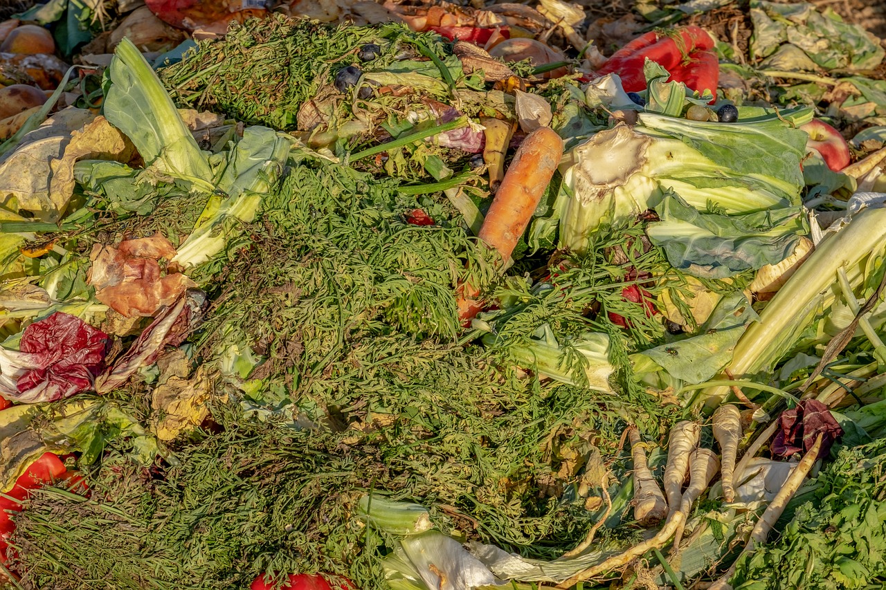¿Qué tipo de fertilizante se utiliza para el melón?