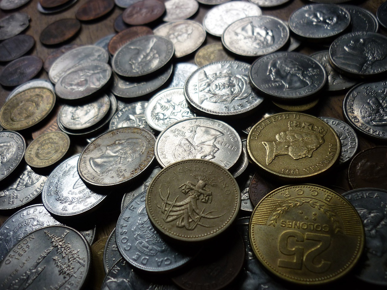 ¿Qué tan rentable es la lombricultura?